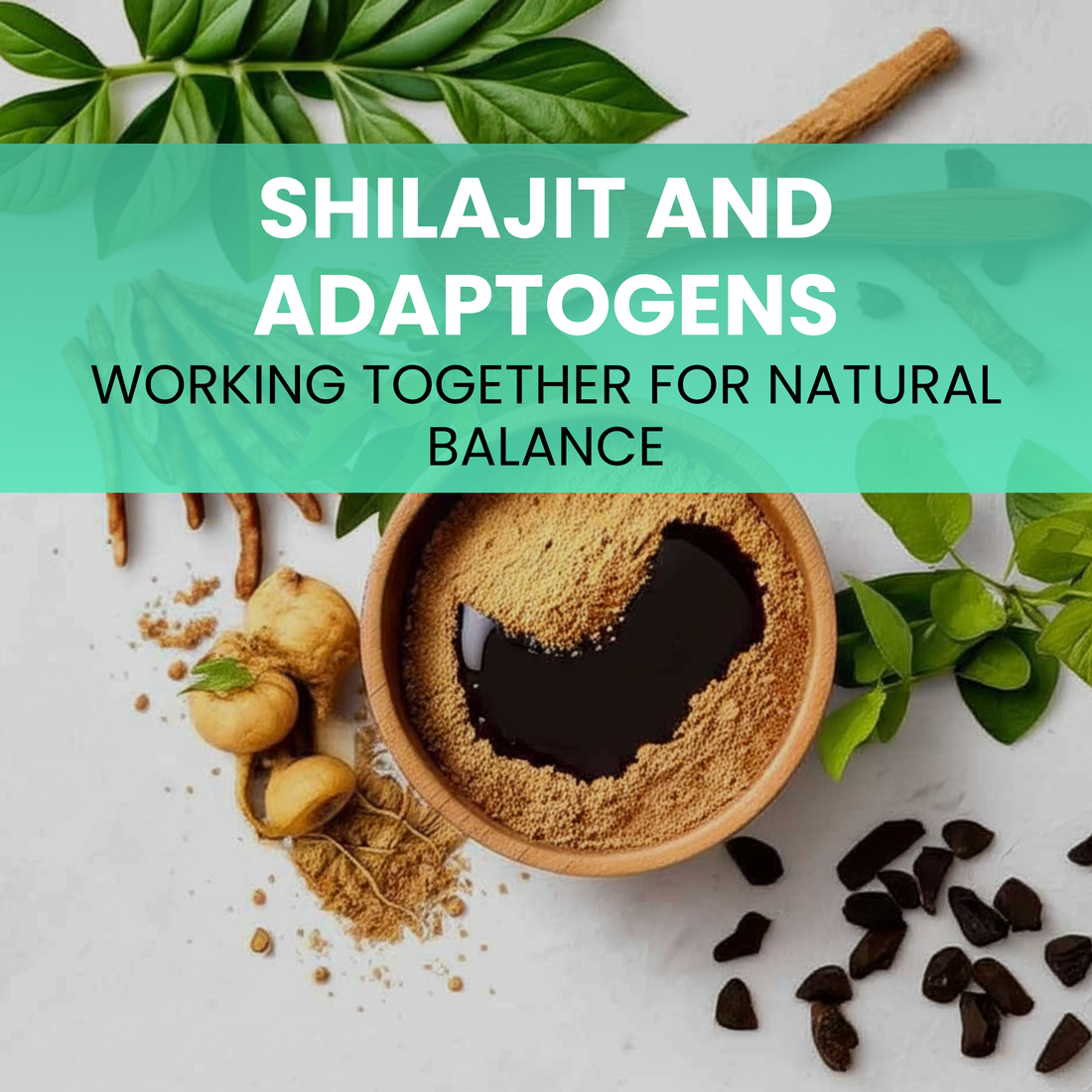 Shilajit and Adaptogens: Working Together for Natural Balance