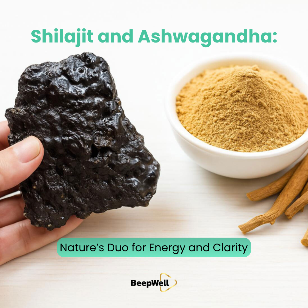 Shilajit and Ashwagandha: Nature’s Duo for Energy and Clarity