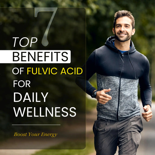 Top 7 Benefits of Fulvic Acid for Daily Wellness
