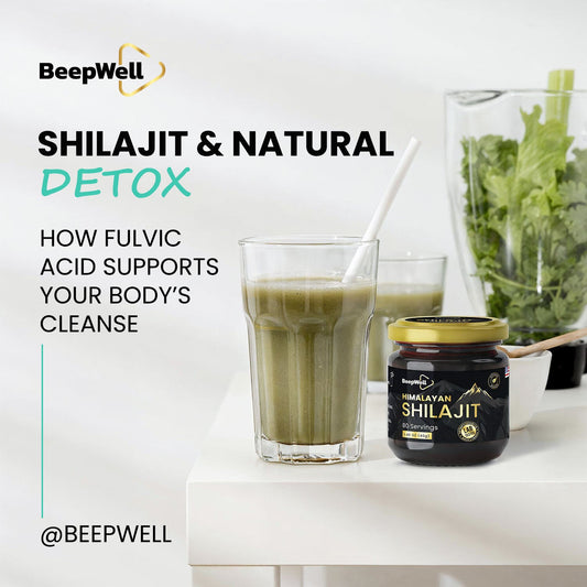 Shilajit and Natural Detox: How Fulvic Acid Supports Your Body’s Cleanse