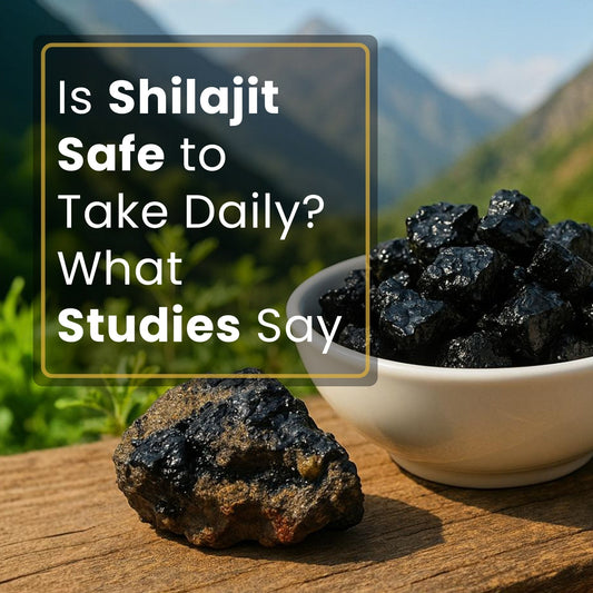 Is Shilajit Safe to Take Daily? What Studies Say