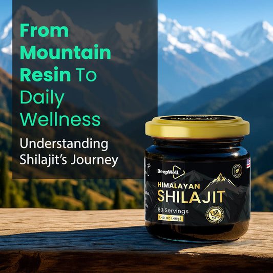 From Mountain Resin to Daily Wellness: Understanding Shilajit’s Journey