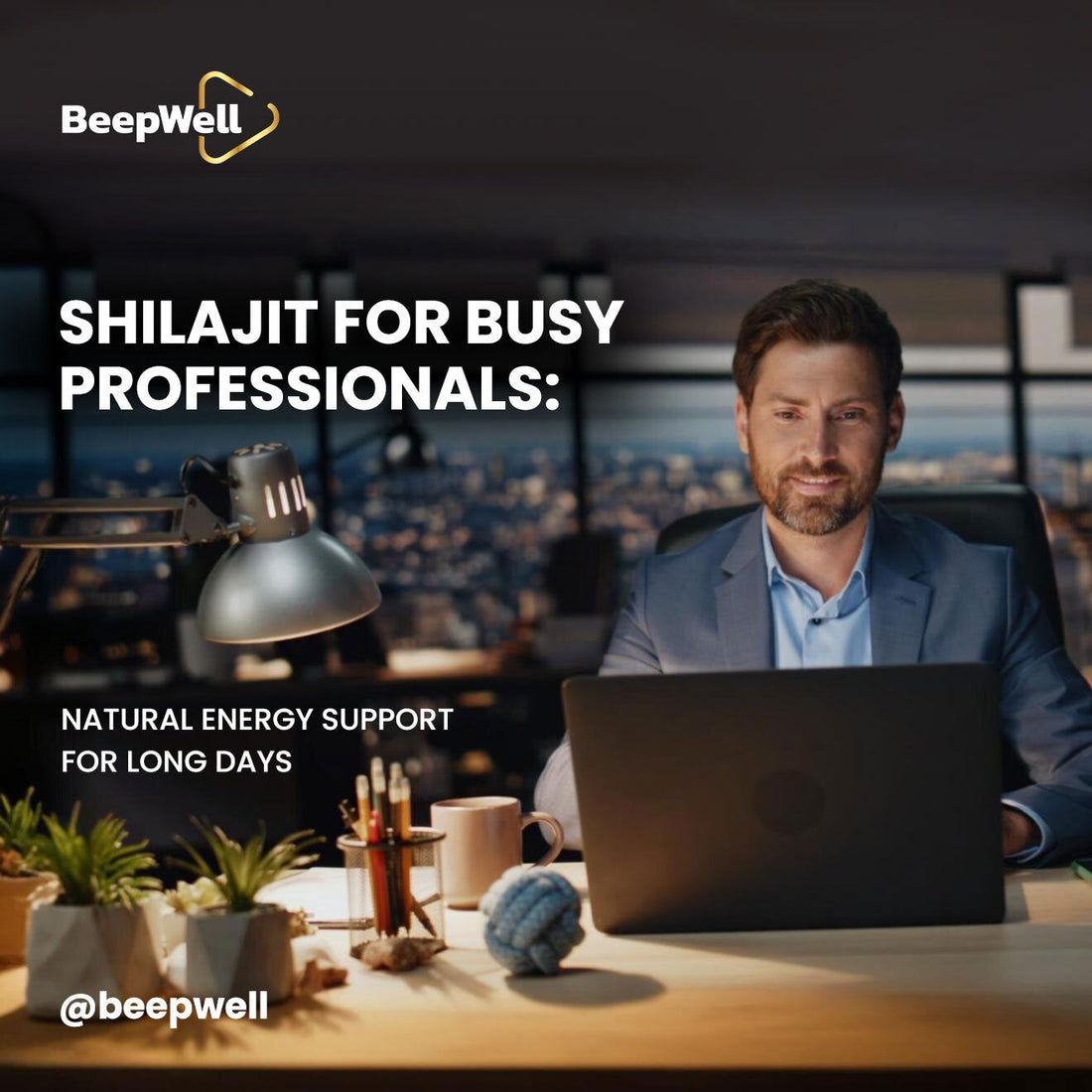 Shilajit for Busy Professionals: Natural Energy Support for Long Days