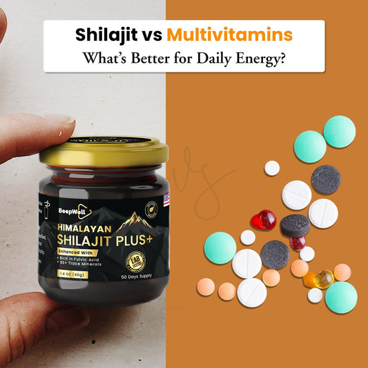 Shilajit vs Multivitamins: What’s Better for Daily Energy?