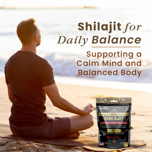Shilajit for Daily Balance: Supporting a Calm Mind and Balanced Body