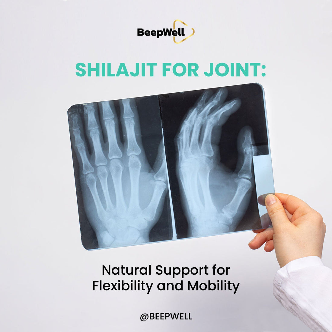 Shilajit for Joint Health: Natural Support for Flexibility and Mobility