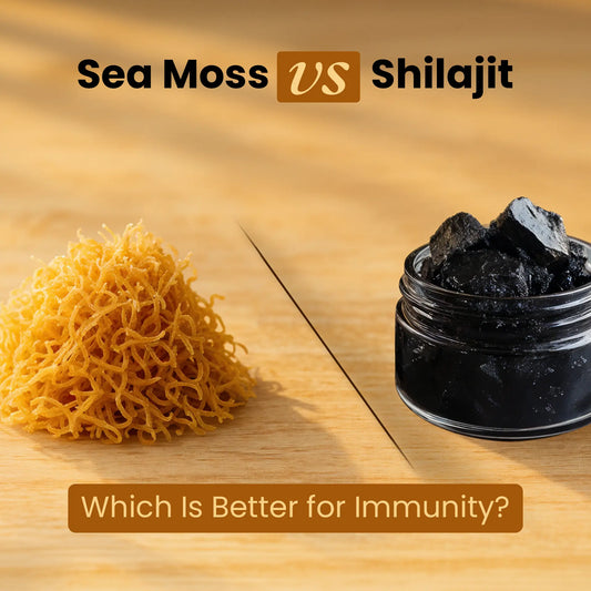 Sea Moss vs Shilajit: Which Is Better for Immunity?