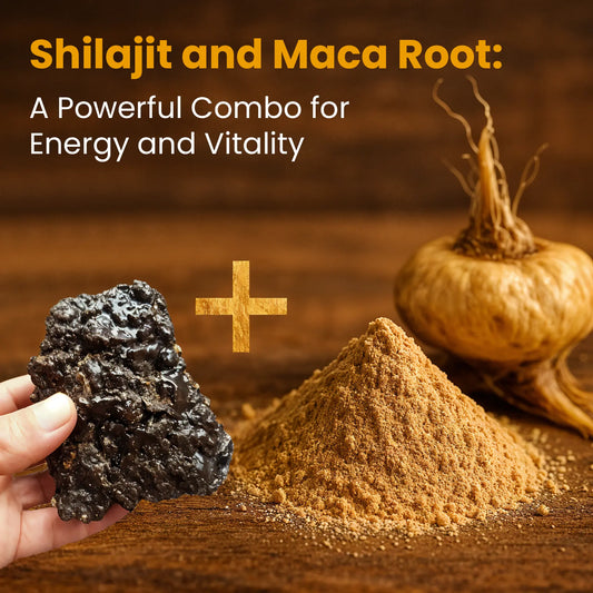 Shilajit and Maca Root: A Powerful Combo for Energy and Vitality