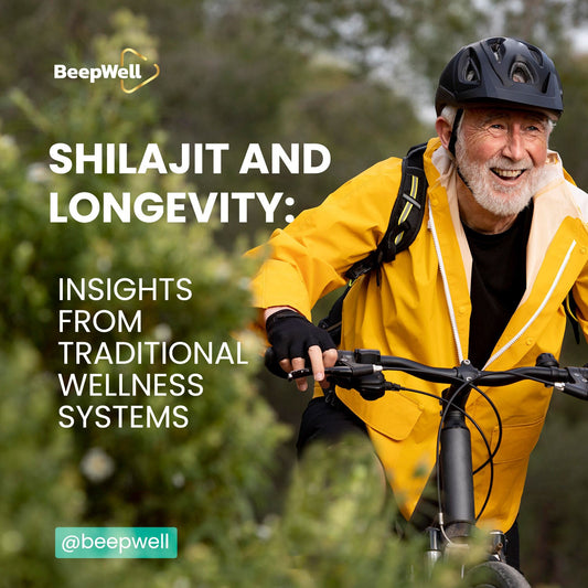 Shilajit and Longevity: Insights from Traditional Wellness Systems