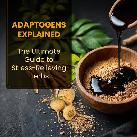 Adaptogens Explained: The Ultimate Guide to Stress-Relieving Herbs