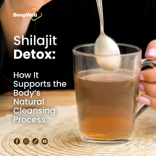 Shilajit Detox: How It Supports the Body’s Natural Cleansing Process