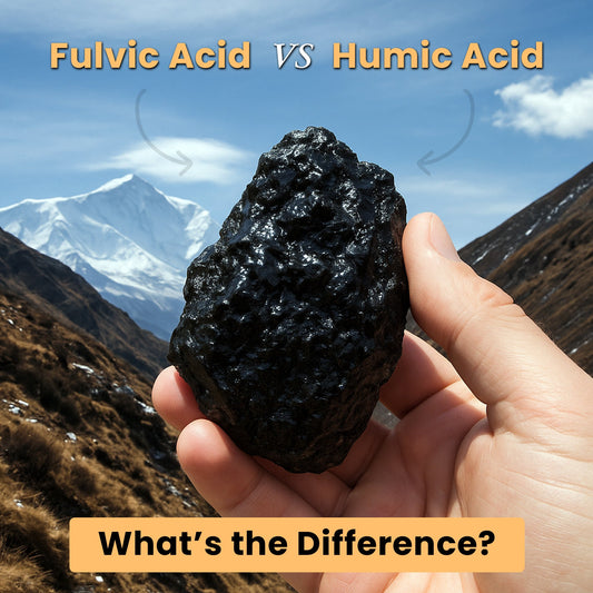 Fulvic Acid vs Humic Acid: What’s the Difference?
