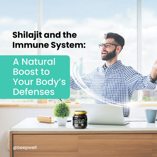 Shilajit and the Immune System: A Natural Boost to Your Body’s Defenses