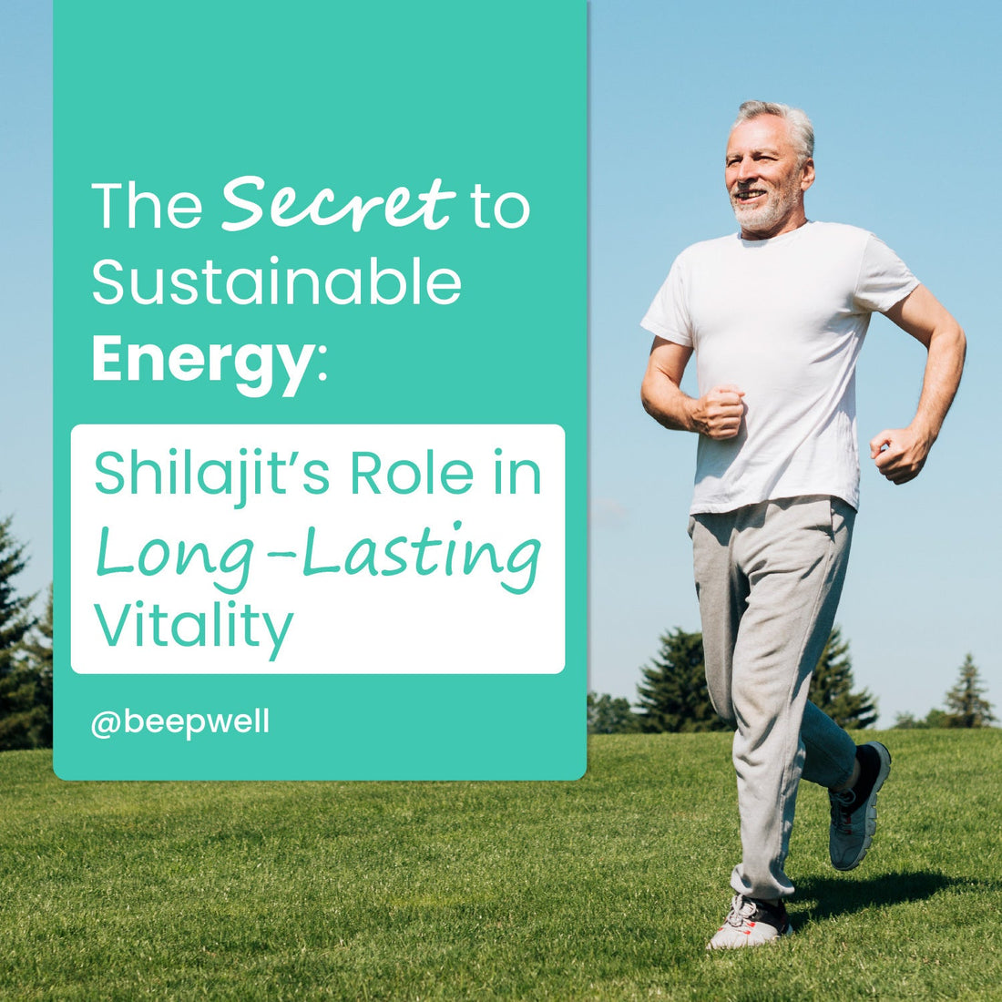 The Secret to Sustainable Energy: Shilajit’s Role in Long-Lasting Vitality