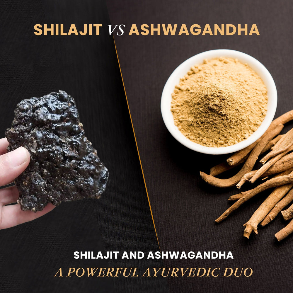 Ashwagandha vs Shilajit: Which One Is Right for You?