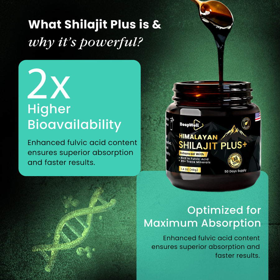 Shilajit Resin Plus