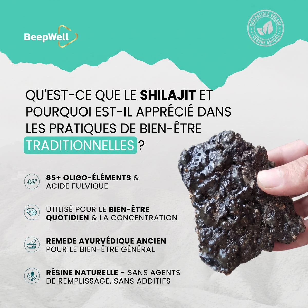 Résine de Shilajit de l’Himalaya BeepWell