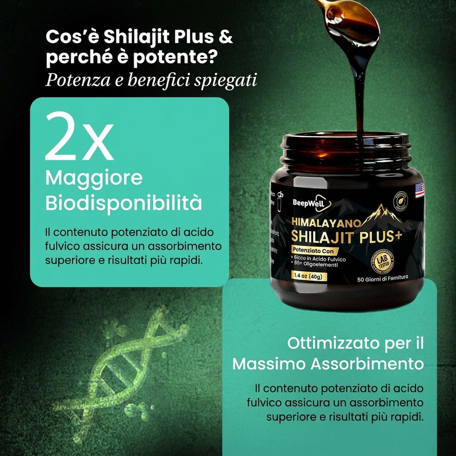 Resina Shilajit Plus