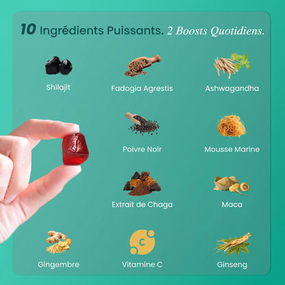 Gummies au Shilajit de l’Himalaya BeepWell