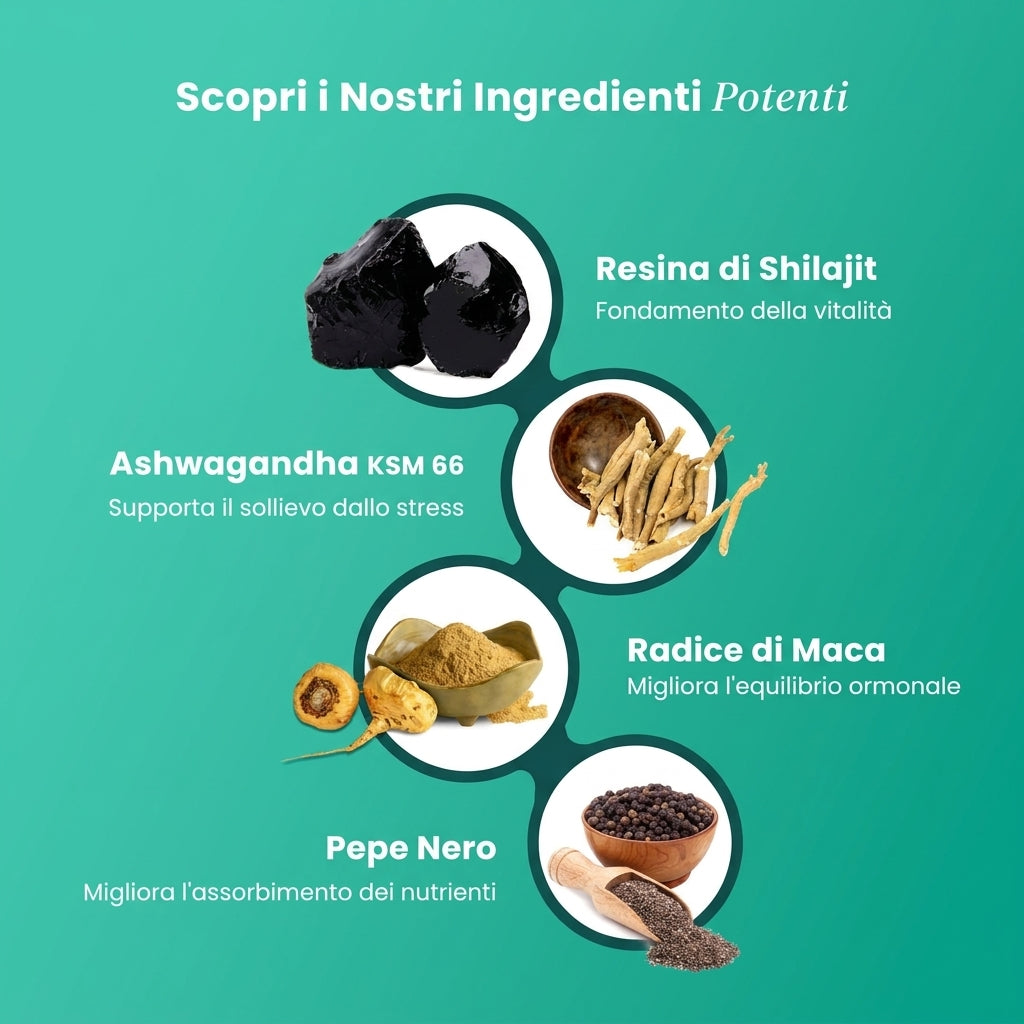 Resina di Shilajit Himalayano Plus BeepWell