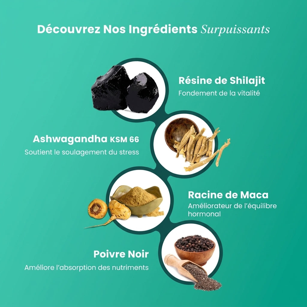 Résine Shilajit Plus de l’Himalaya BeepWell