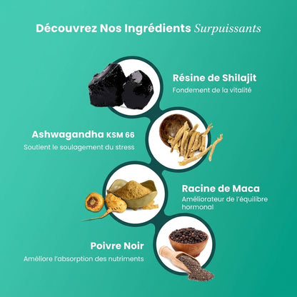 Résine Shilajit Plus de l’Himalaya BeepWell