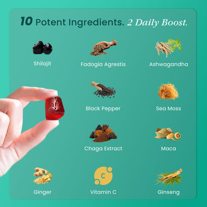 BeepWell Himalayan Shilajit Gummies