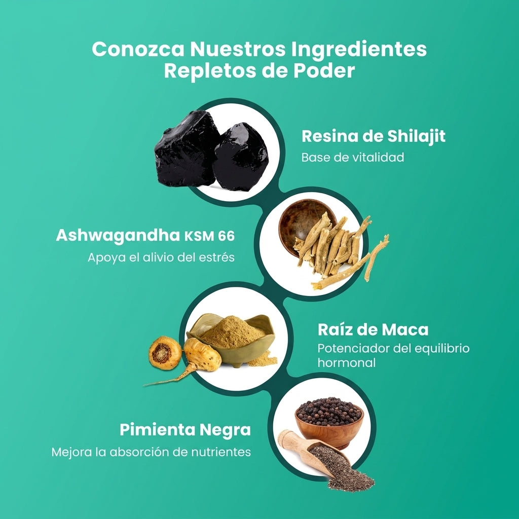Resina de Shilajit del Himalaya BeepWell Plus
