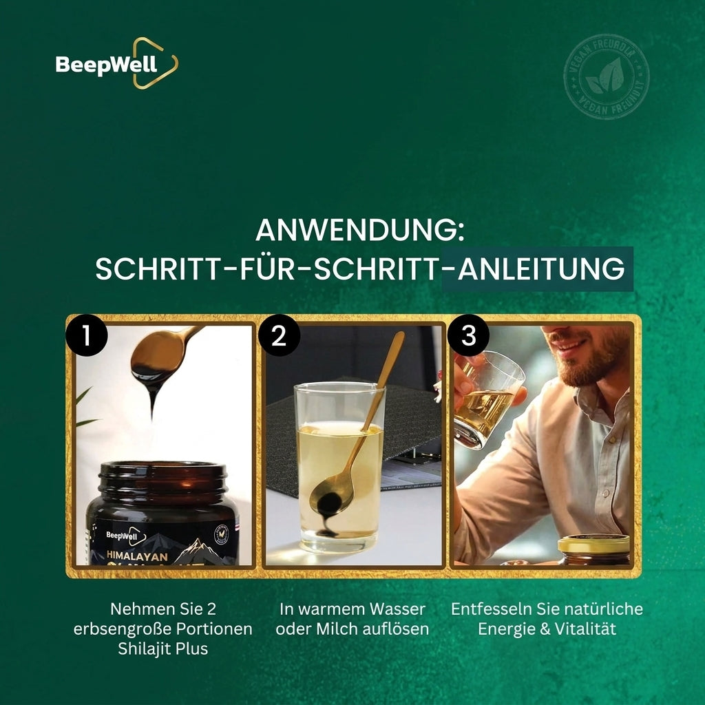 Beepwell Himalaya Shilajit Harz Plus