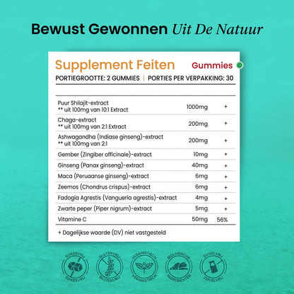 BeepWell Himalayan Shilajit Gummies