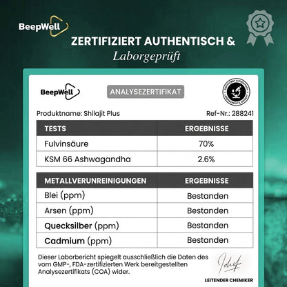 Beepwell Himalaya Shilajit Harz Plus