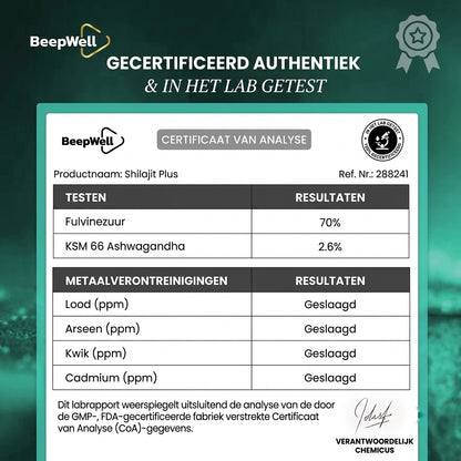 Beepwell Himalayan Shilajit Resin Plus