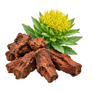 Rhodiola Rosea