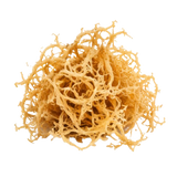 Sea Moss