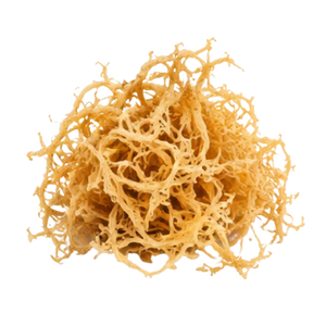 Sea Moss