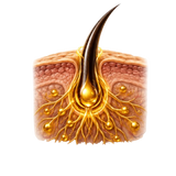 Strong Hair Roots