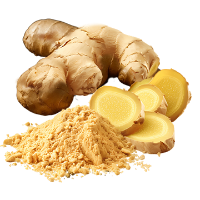 Ginger